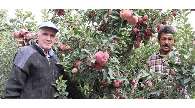 ELMANIN ÜRETİCİ İLE MARKET ARASINDAKİ FİYAT FARKI %295,01