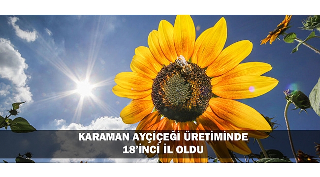 KARAMAN AYÇİÇEĞİ ÜRETİMİNDE 18’İNCİ İL OLDU