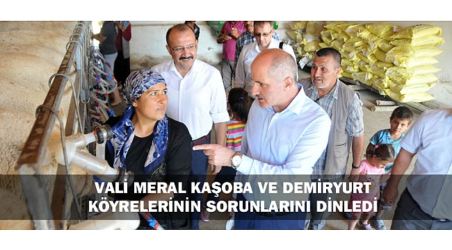 VALİ MERAL KAŞOBA VE DEMİRYURT KÖYRELERİNİN SORUNLARINI DİNLEDİ