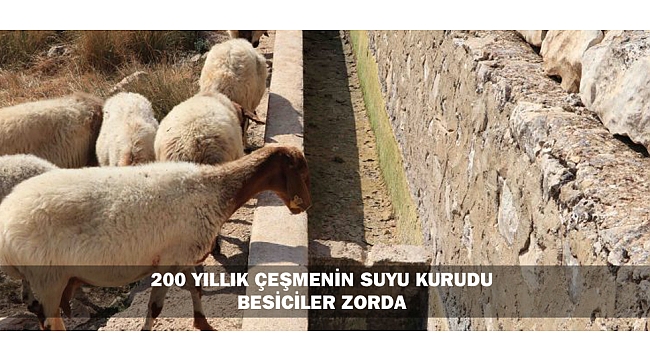 200 YILLIK ÇEŞMENİN SUYU KURUDU, BESİCİLER ZORDA