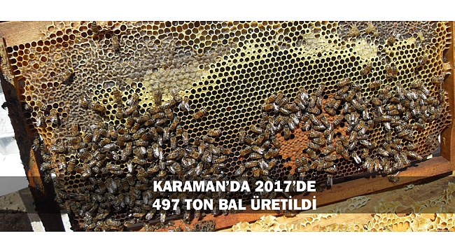 KARAMAN’DA 2017’DE 497 TON BAL ÜRETİLDİ