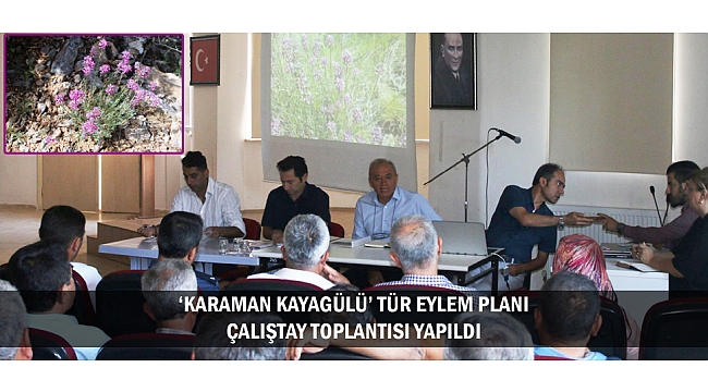 ‘KARAMAN KAYAGÜLÜ’ TÜR EYLEM PLANI ÇALIŞTAY TOPLANTISI YAPILDI