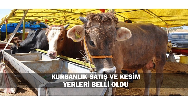 KURBANLIK SATIŞ VE KESİM YERLERİ BELLİ OLDU