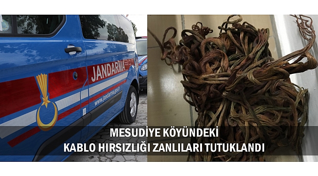 MESUDİYE KÖYÜNDEKİ KABLO HIRSIZLIĞI ZANLILARI TUTUKLANDI
