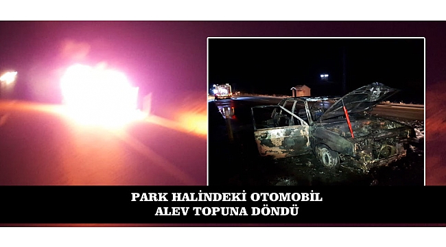 PARK HALİNDEKİ OTOMOBİL ALEV TOPUNA DÖNDÜ