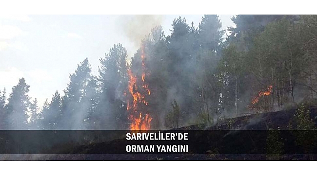 SARIVELİLER’DE ORMAN YANGINI