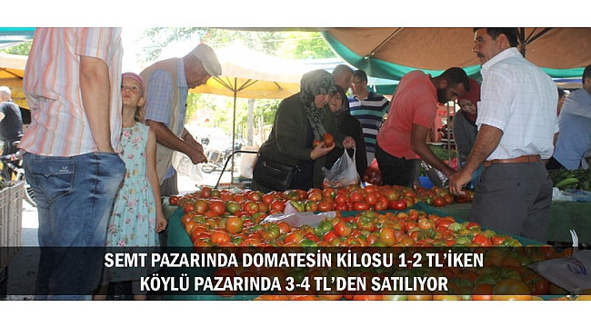SEMT PAZARINDA DOMATESİN KİLOSU 1-2 TL'İKEN KÖYLÜ PAZARINDA 3-4 TL'DEN SATILIYOR