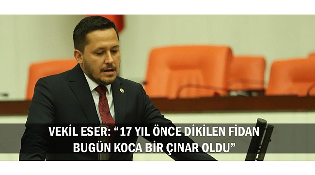 VEKİL ESER: “17 YIL ÖNCE DİKİLEN FİDAN BUGÜN KOCA BİR ÇINAR OLDU”