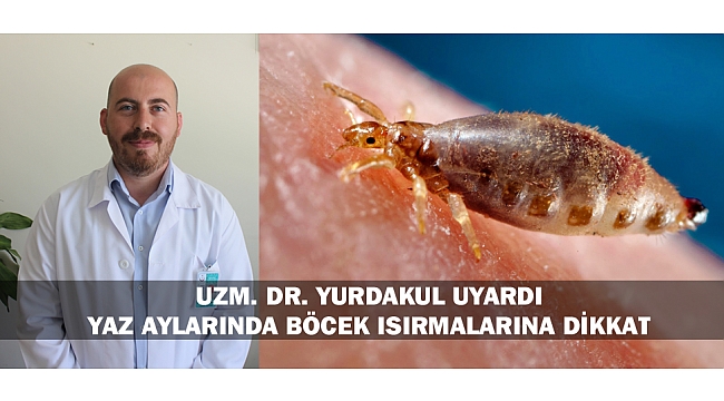 YAZ AYLARINDA BÖCEK ISIRMALARINA DİKKAT