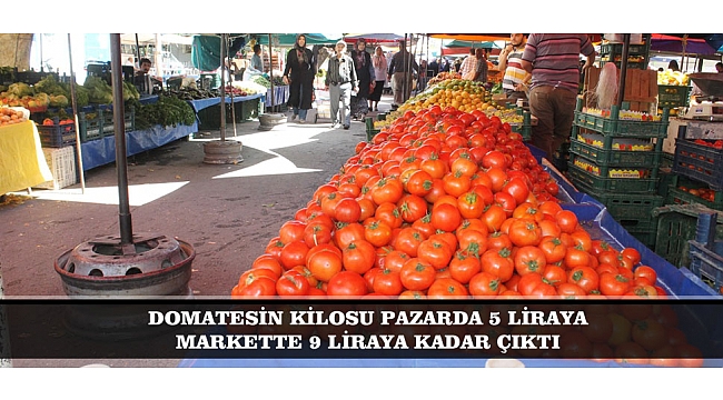 DOMATESİN KİLOSU PAZARDA 5 LİRAYA MARKETTE 9 LİRAYA KADAR ÇIKTI
