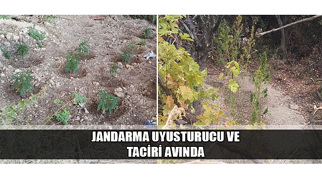JANDARMA UYUŞTURUCU VE TACİRİ AVINDA