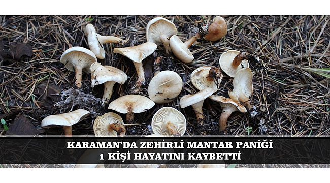 KARAMAN’DA ZEHİRLİ MANTAR PANİĞİ: 1 KİŞİ HAYATINI KAYBETTİ