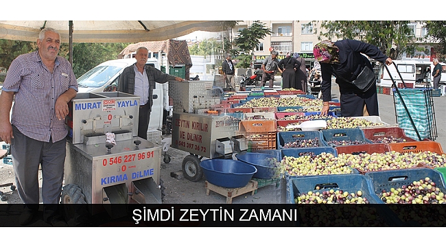 ŞİMDİ ZEYTİN ZAMANI