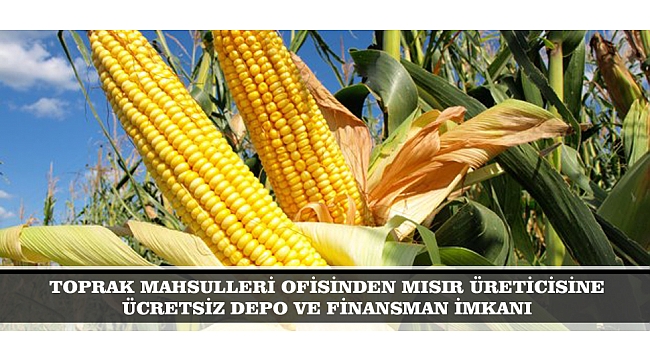 TMO'DAN MISIR ÜRETİCİSİNE ÜCRETSİZ DEPO VE FİNANSMAN İMKANI