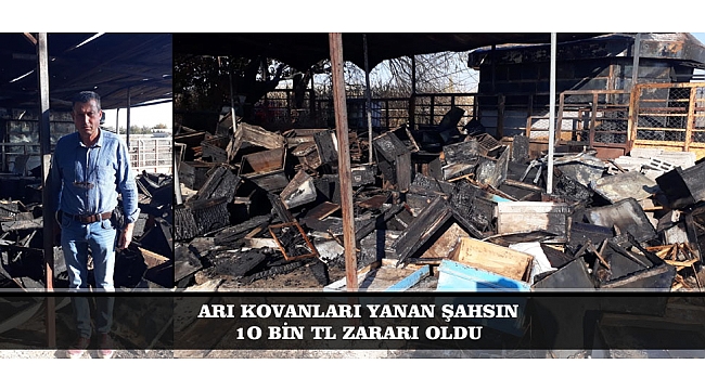 ARI KOVANLARI YANAN ŞAHSIN 1O BİN TL ZARARI OLDU