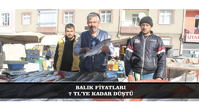 BALIK FİYATLARI 7 TL’YE KADAR DÜŞTÜ