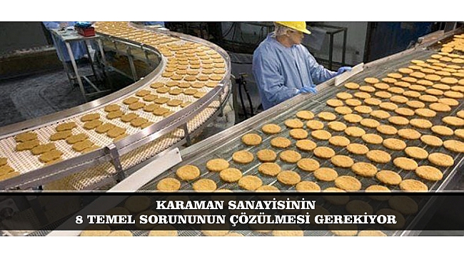 KARAMAN SANAYİSİNİN 8 TEMEL SORUNUNUN ÇÖZÜLMESİ GEREKİYOR