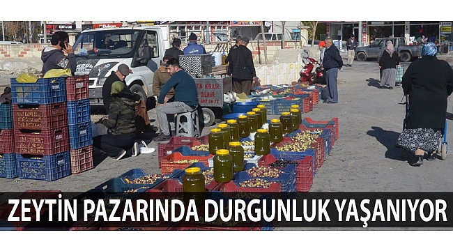 ZEYTİN PAZARINDA DURGUNLUK YAŞANIYOR