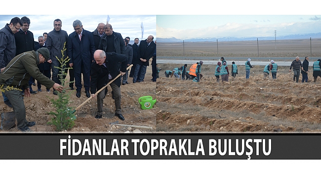 FİDANLAR TOPRAKLA BULUŞTU