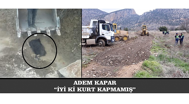 ADEM KAPAR: “İYİ Kİ KURT KAPMAMIŞ”