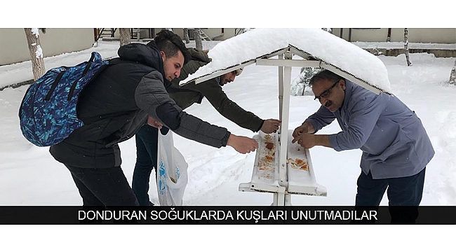DONDURAN SOĞUKLARDA KUŞLARI UNUTMADILAR