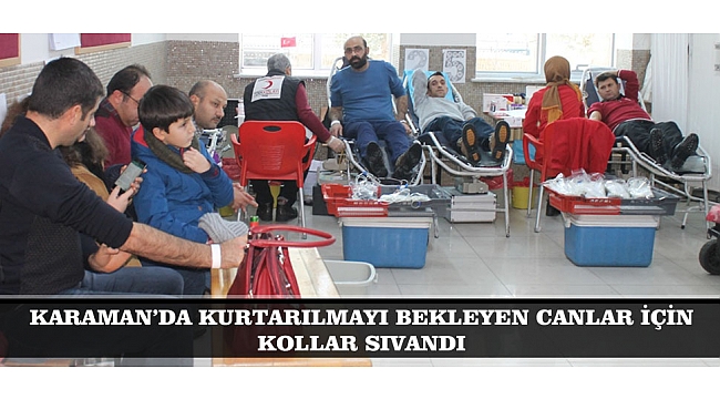 KARAMAN’DA KURTARILMAYI BEKLEYEN CANLAR İÇİN KOLLAR SIVANDI