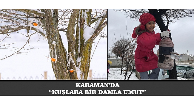 KARAMAN'DA "KUŞLARA BİR DAMLA UMUT"