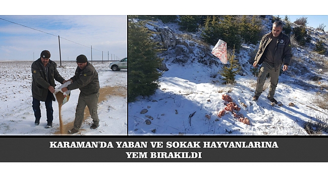 KARAMAN'DA YABAN VE SOKAK HAYVANLARINA YEM BIRAKILDI