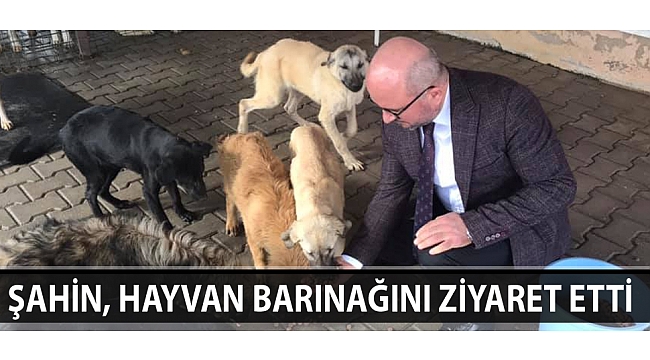 ŞAHİN, HAYVAN BARINAĞINI ZİYARET ETTİ