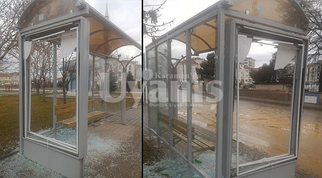 Bunun Adı Vandallık!