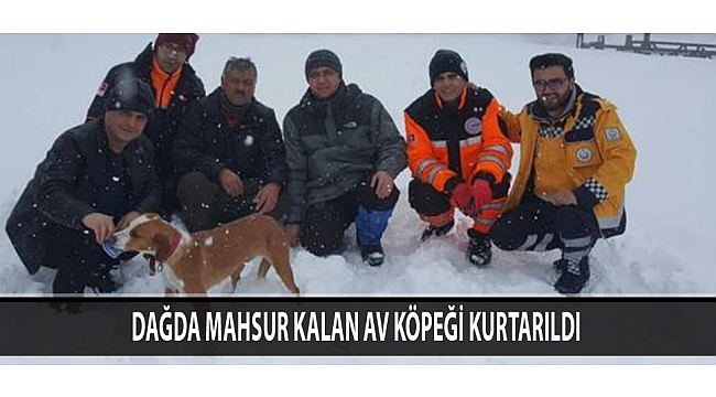 Dağda Mahsur Kalan Av Köpeği Kurtarıldı