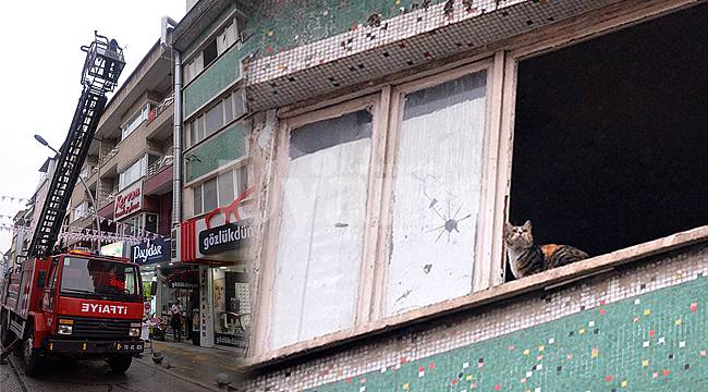 İsmet Paşa Caddesinde kedi kurtarma operasyonu