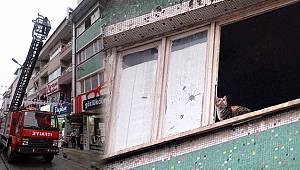 İsmet Paşa Caddesinde kedi kurtarma operasyonu