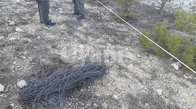 Karaman'da dikenli tel hırsızı yakalandı