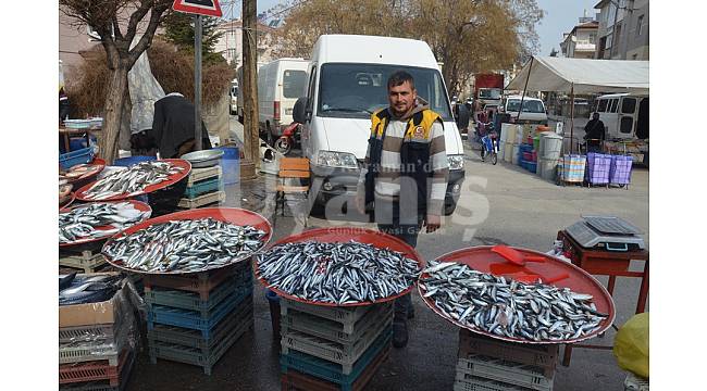 Karaman'da hamsinin kilosu 20 liraya dayandı
