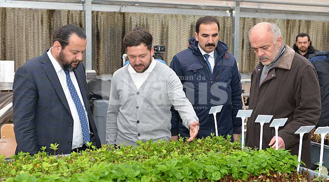 KMÜ, çevre düzenlemesi için kendi bitkisini üretiyor