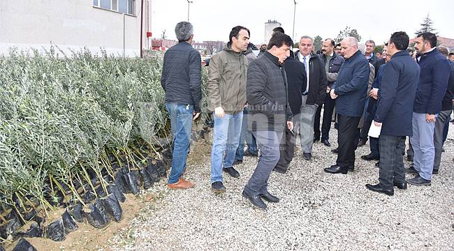 Çiftçilere fidan dağıtımı yapıldı