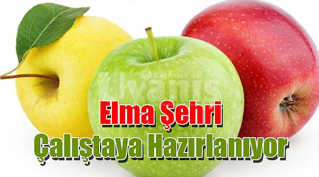 Elma Şehri çalıştaya hazırlanıyor
