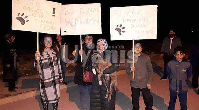 Hayvan severler  artık hep birlikte hareket edecek