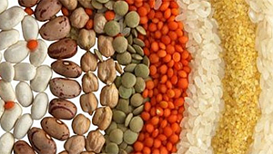 Hububat ve baklagil fark ödemesi desteği icmalleri askıda