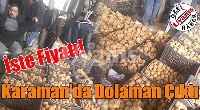 Karaman'da dolaman çıktı, işte fiyatı