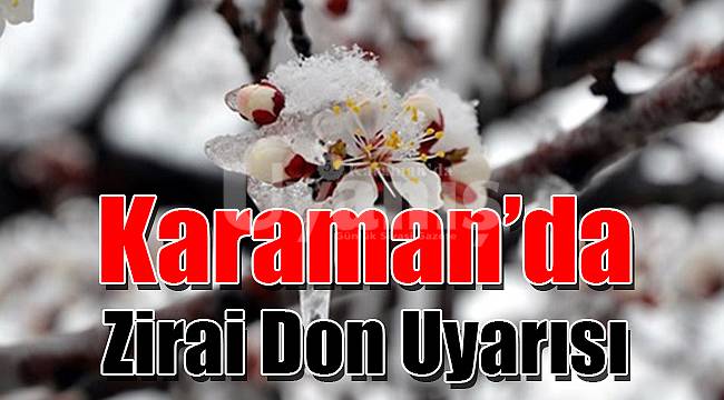 Karaman’da zirai don uyarısı