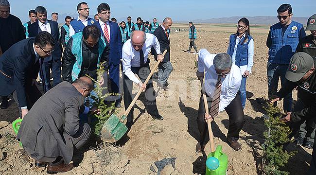 Yeşil Karaman için fidanlar toprakla buluştu