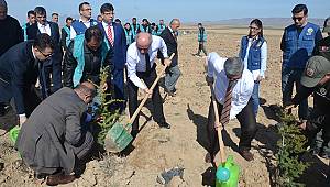 Yeşil Karaman için fidanlar toprakla buluştu