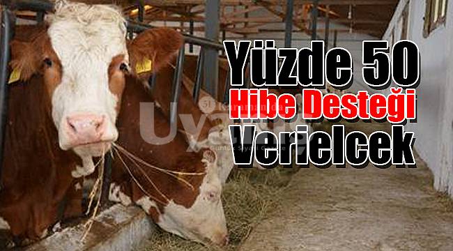 Yüzde 50 hibe desteği verilecek