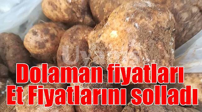 Dolaman fiyatları Et Fiyatlarını solladı