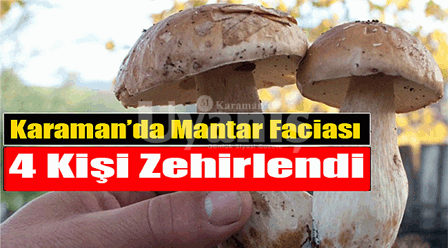 Karaman'da 4 kişi mantardan zehirlendi
