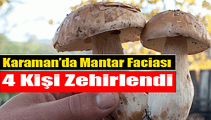 Karaman'da 4 kişi mantardan zehirlendi