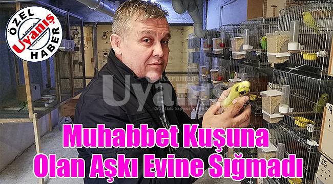 Muhabbet Kuşuna Olan Aşkı Evine Sığmadı