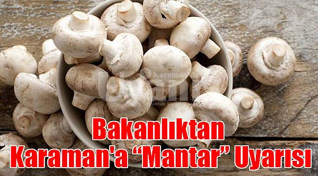 Bakanlıktan Karaman'a mantar uyarısı